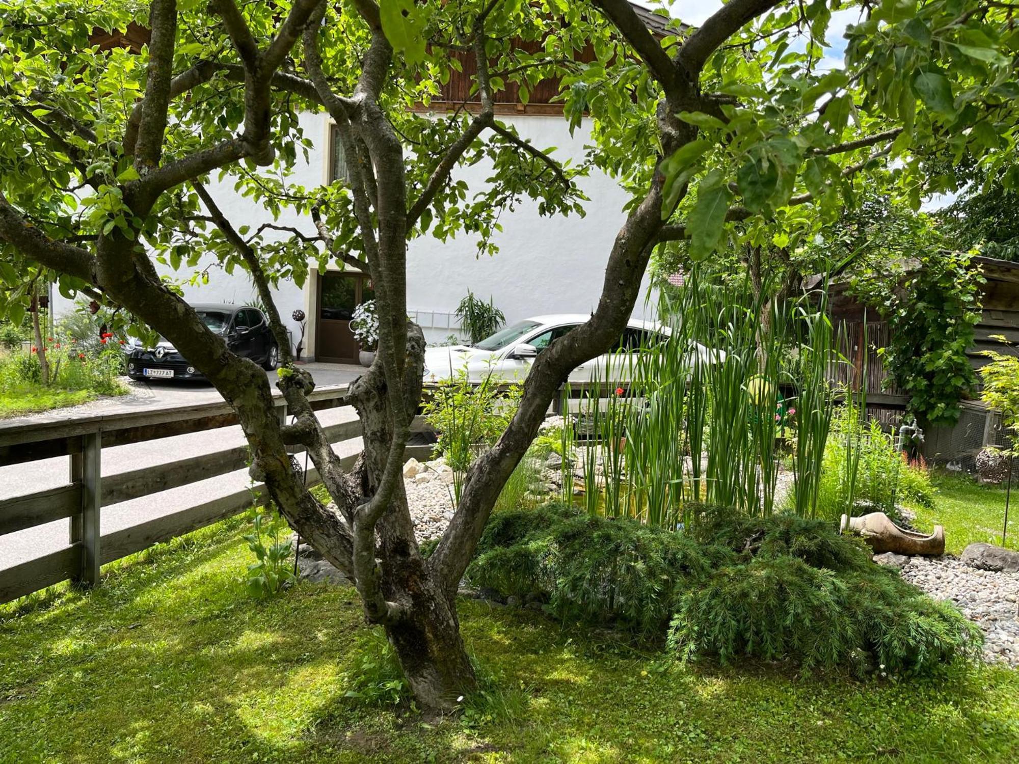 Appartamento Bergmanns Ferienapartment *
